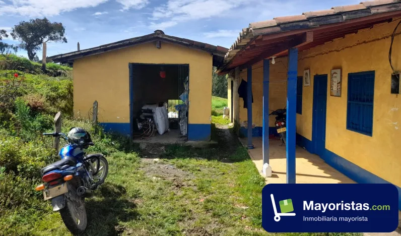 Finca ganadera de 10,2 ha en San Pedro de Los Milagros, Antioquia — foto 10 de 10