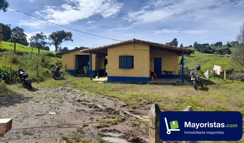 Finca ganadera de 10,2 ha en San Pedro de Los Milagros, Antioquia — foto 9 de 10