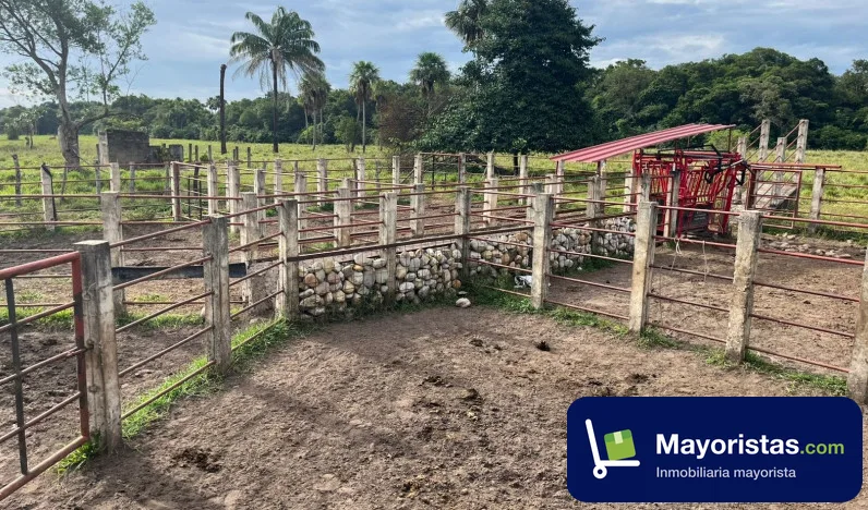 Finca ganadera de 94 ha en Villanueva, Casanare — foto 9 de 10