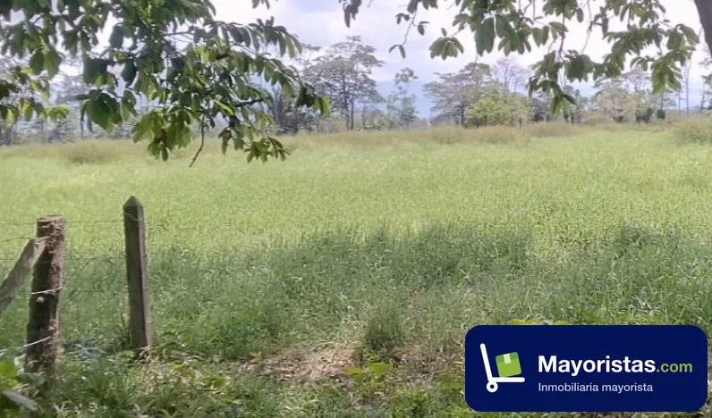Finca ganadera de 4 ha en Cúcuta, Norte de Santander