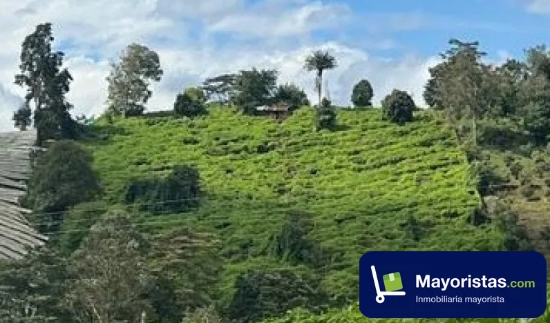 Finca agrícola de 1,1 ha en Granada, Cundinamarca