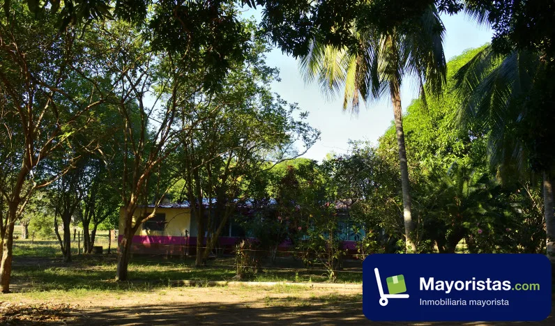 Finca ganadera de 405 ha en Aguachica, Cesar — foto 10 de 10