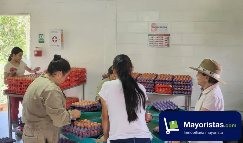 Finca ganadera de 37 ha en Ebéjico, Antioquia — foto 10 de 10