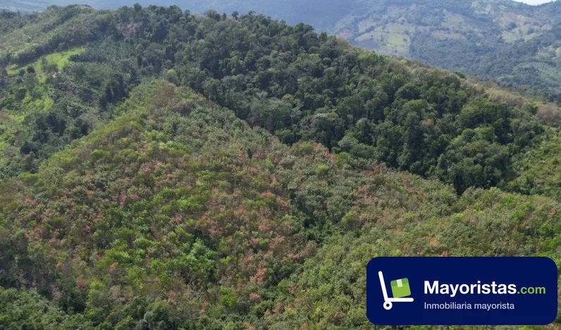 Finca agrícola de 15,8 ha en El Carmen de Chucurí, Santander