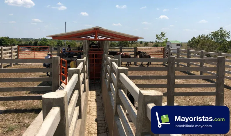 Finca ganadera de 200 ha en Orocué, Casanare — foto 10 de 10