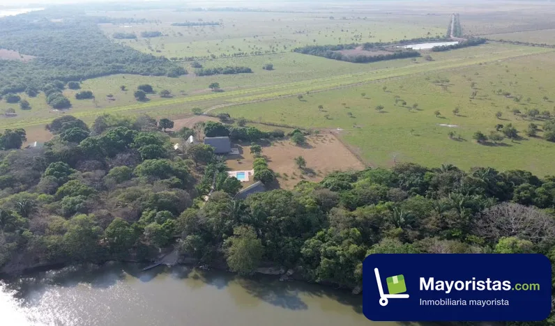 Finca ganadera de 200 ha en Orocué, Casanare — foto 9 de 10