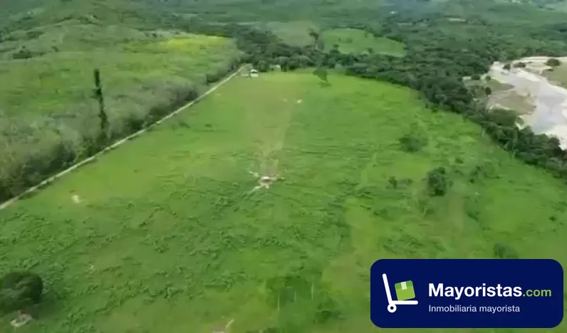 Finca ganadera de 268 ha en Monterrey, Casanare