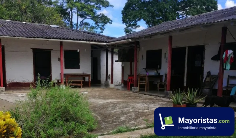 Finca ganadera de 320 ha en Puerto Berrío, Antioquia — foto 10 de 10