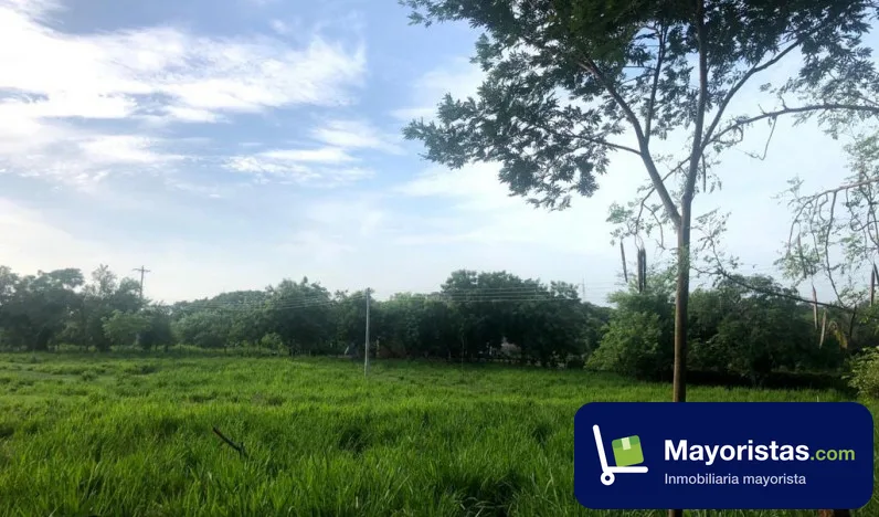 Finca ganadera de 40 ha en Sabanalarga, Atlántico
