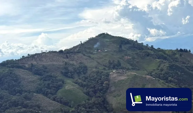 Finca agrícola de 15 ha en Neira, Caldas