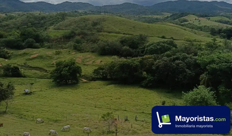Finca ganadera de 65 ha en Puerto Berrío, Antioquia