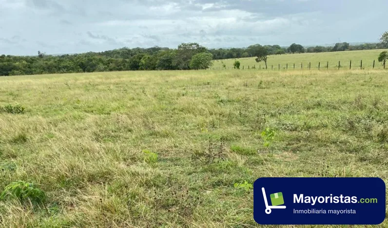 Finca ganadera de 1.642 ha en Puerto López, Meta