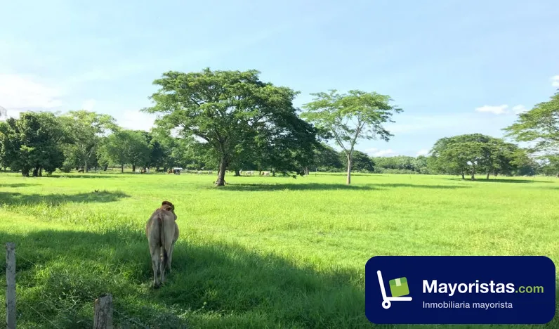 Finca ganadera de 130 ha en Puerto Salgar, Cundinamarca