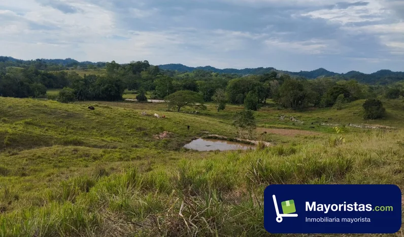 Finca ganadera de 330 ha en Puerto Boyacá, Boyacá
