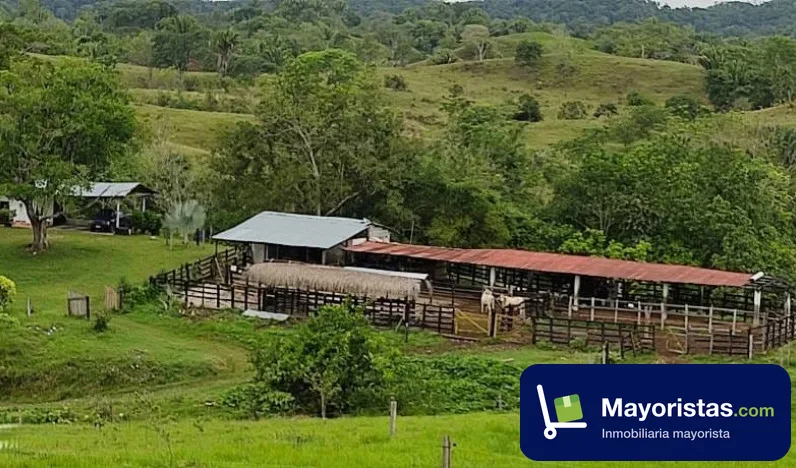 Finca ganadera de 330 ha en Puerto Boyacá, Boyacá — foto 10 de 10
