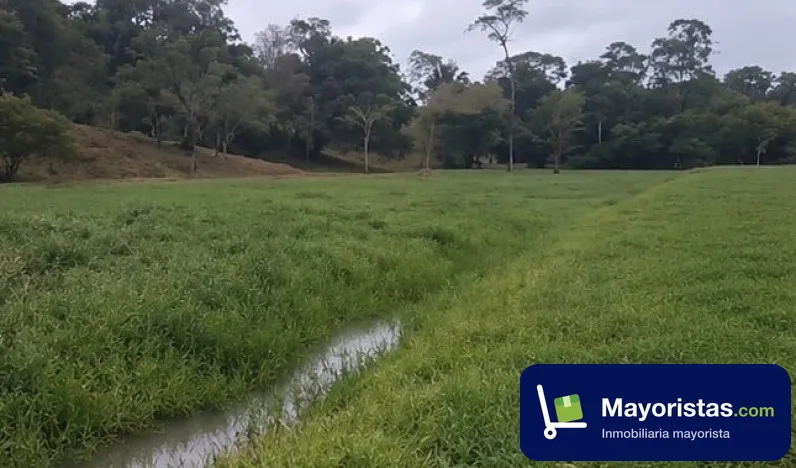 Finca ganadera de 240 ha en Puerto Boyacá, Boyacá