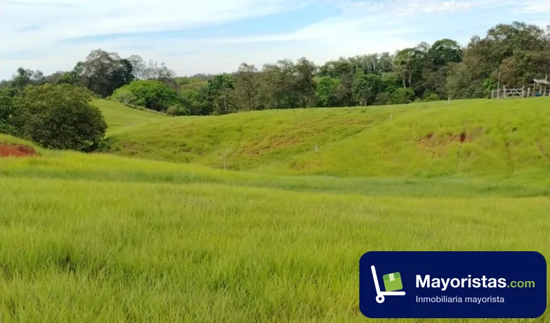 Finca ganadera de 242 ha en Caucasia, Antioquia
