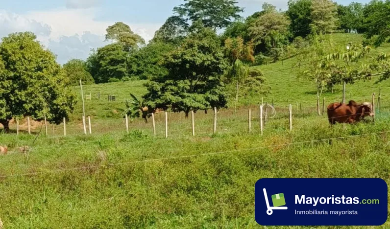 Finca ganadera de 2,1 ha en Montería, Córdoba