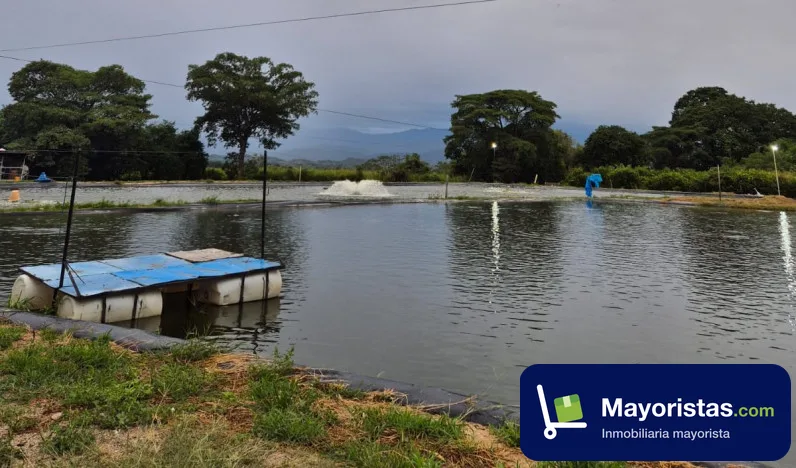 Finca agrícola de 4,9 ha en Campoalegre, Huila