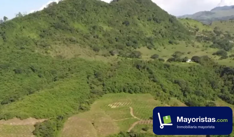 Finca ganadera de 156,8 ha en Tarso, Antioquia