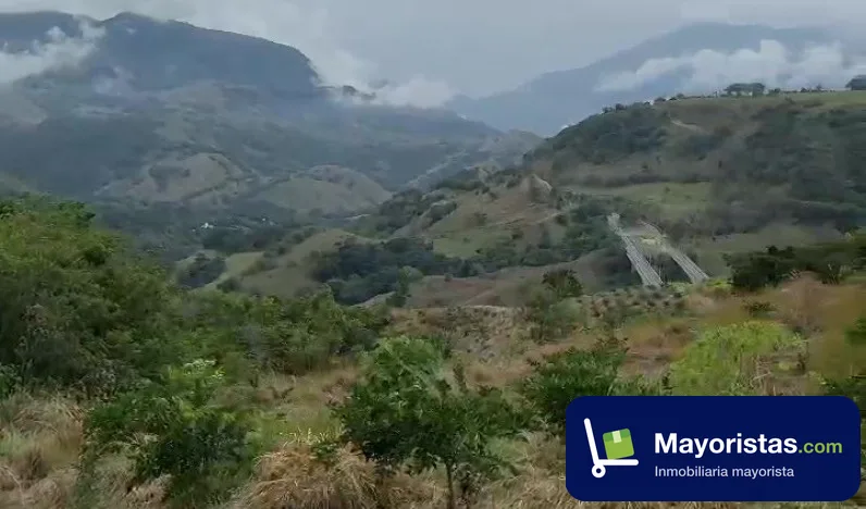 Finca ganadera de 156,8 ha en Tarso, Antioquia — foto 10 de 10