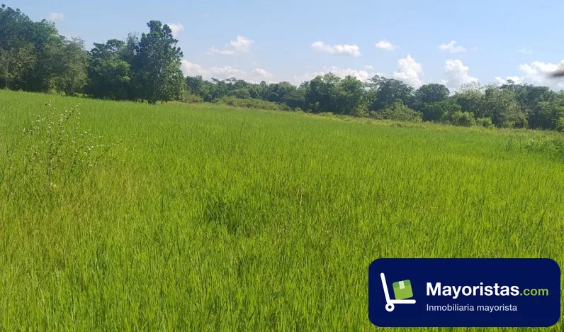 Finca ganadera de 273,9 ha en La Dorada, Caldas