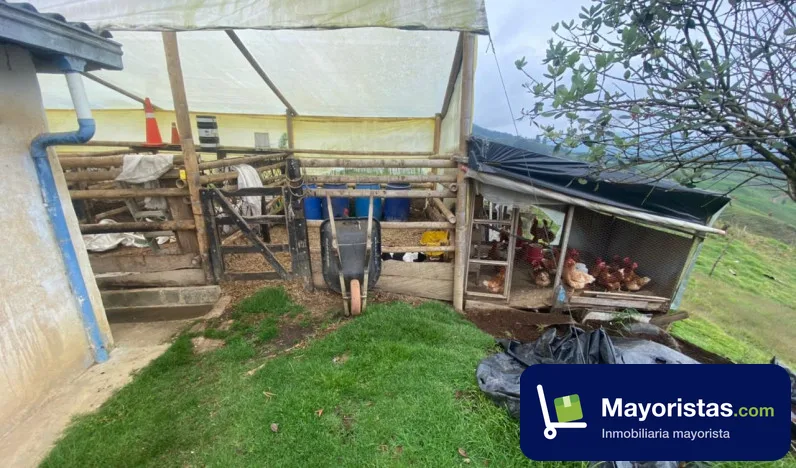 Finca ganadera de 7,9 ha en Don Matias, Antioquia — foto 10 de 10
