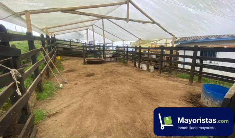 Finca ganadera de 7,9 ha en Don Matias, Antioquia — foto 9 de 10