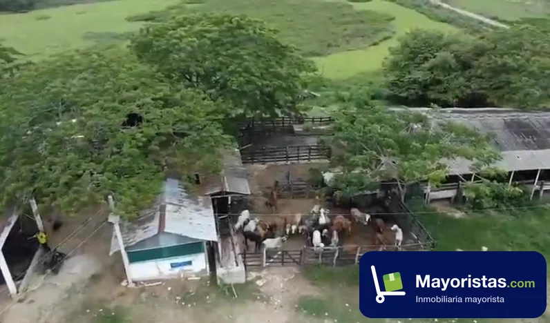 Finca ganadera de 206 ha en Sabanalarga, Atlántico — foto 10 de 10