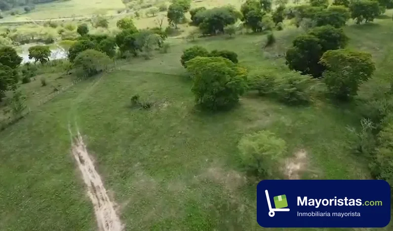 Finca ganadera de 206 ha en Sabanalarga, Atlántico — foto 9 de 10