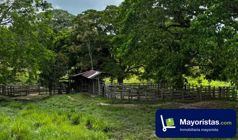 Finca ganadera de 402 ha en Cimitarra, Santander — foto 9 de 10