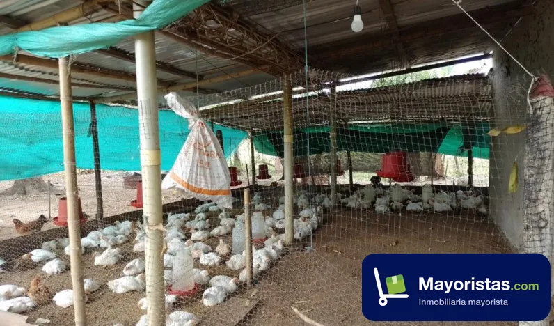 Finca ganadera de 20 ha en Paratebueno, Cundinamarca — foto 10 de 10