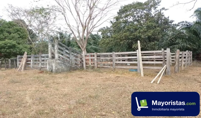 Finca ganadera de 20 ha en Paratebueno, Cundinamarca — foto 9 de 10