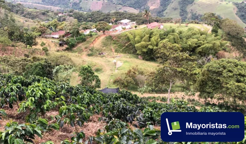 Finca cafetera de 9 ha en Armenia, Antioquia