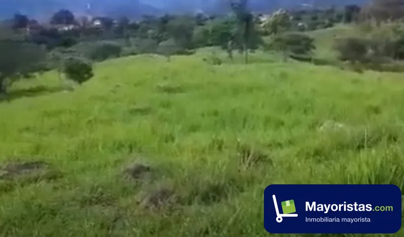 Finca ganadera de 64,7 ha en La Mesa, Cundinamarca
