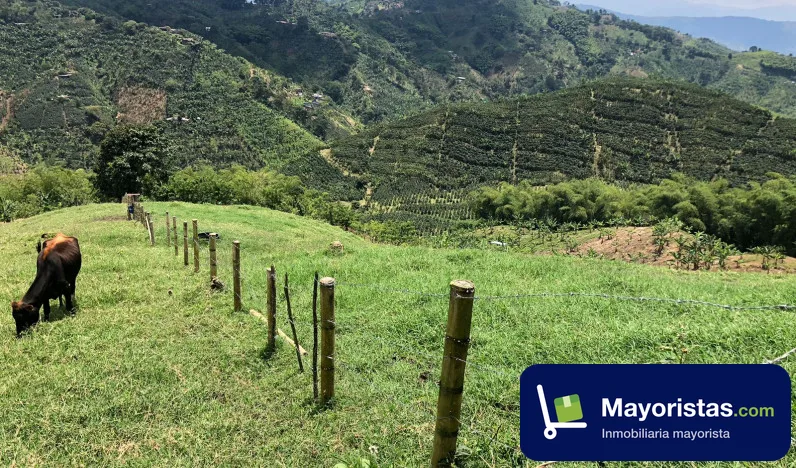 Finca ganadera de 33,3 ha en Marsella, Risaralda — foto 9 de 10