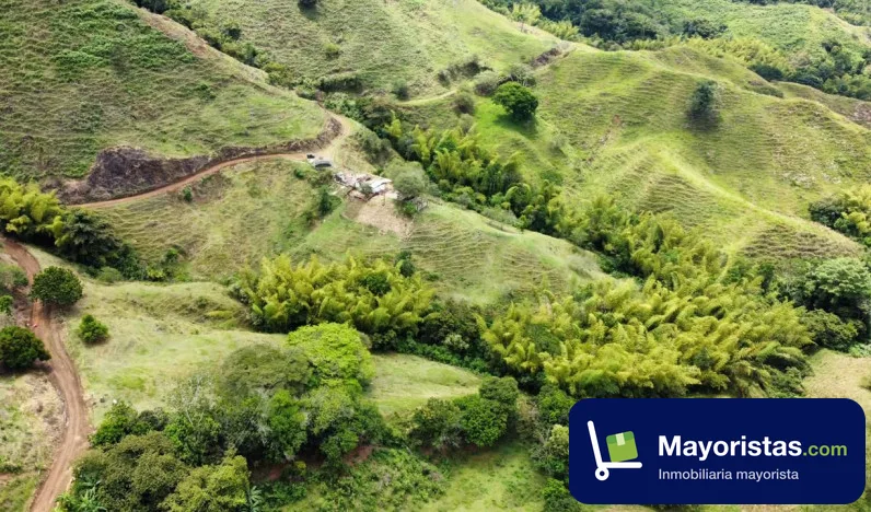 Finca ganadera de 41 ha en Sevilla, Valle del Cauca