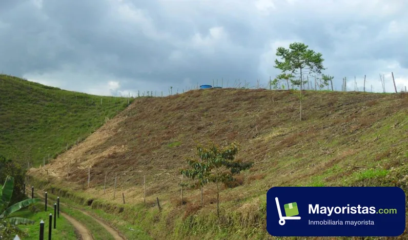 Finca ganadera de 8 ha en Amagá, Antioquia — foto 9 de 9