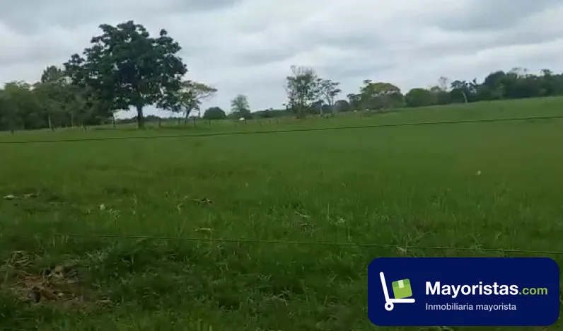 Finca ganadera de 700 ha en Puerto Boyacá, Boyacá