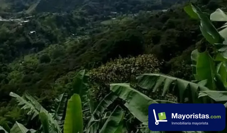 Finca cafetera de 13 ha en Génova, Quindío