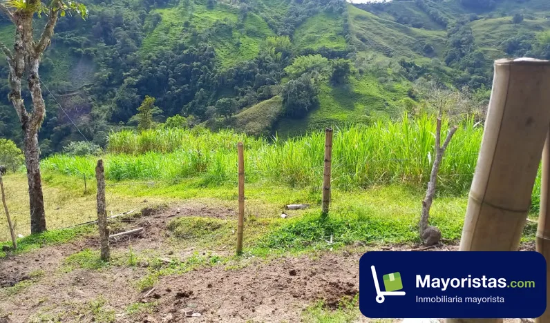Finca ganadera de 14 ha en Yacopí, Cundinamarca