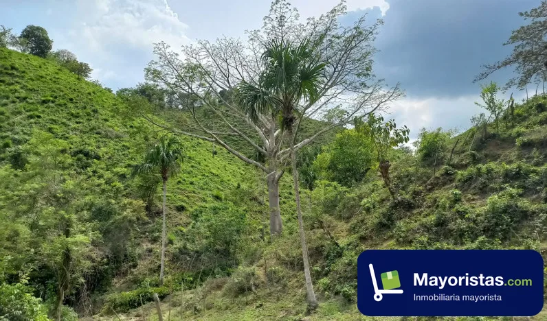 Finca ganadera de 40 ha en San Juan Nepomuceno, Bolívar