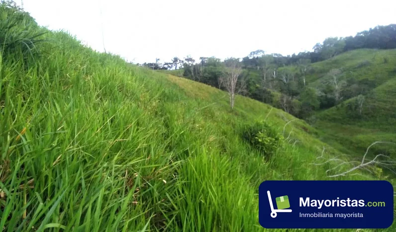 Finca ganadera de 64 ha en El Paujil, Caquetá