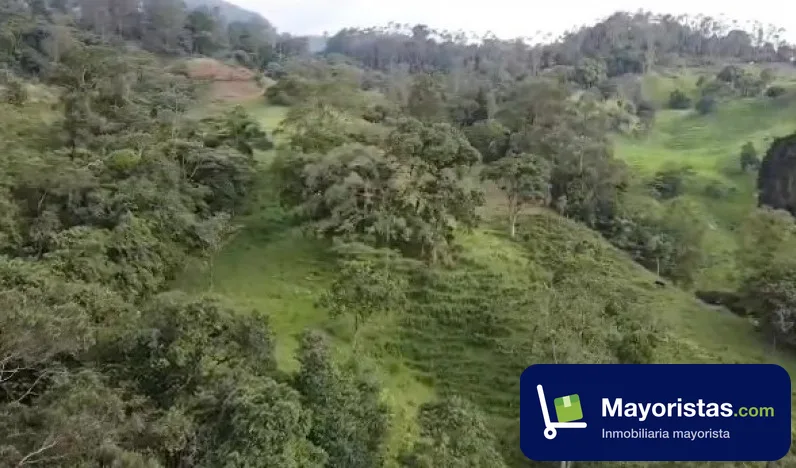 Finca ganadera de 6 ha en San Francisco, Cundinamarca