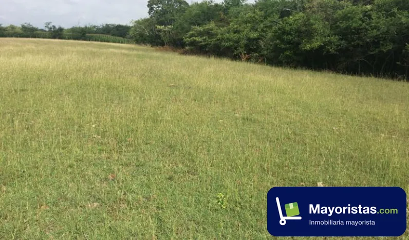 Finca ganadera de 6 ha en Ibagué, Tolima