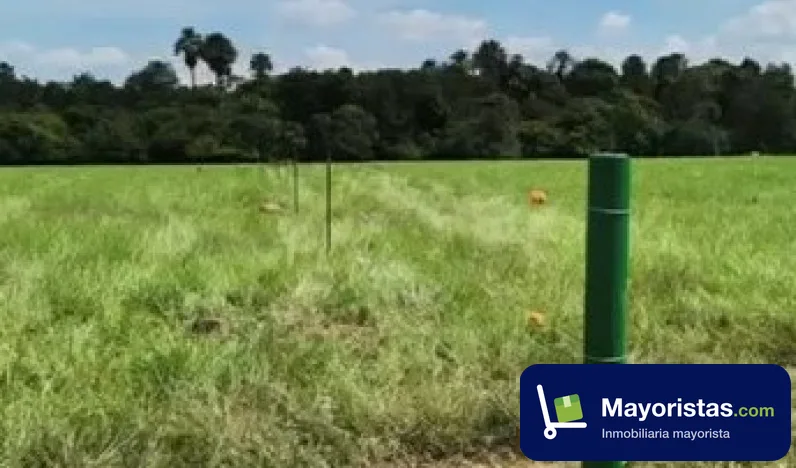 Finca ganadera de 101 ha en Orocué, Casanare