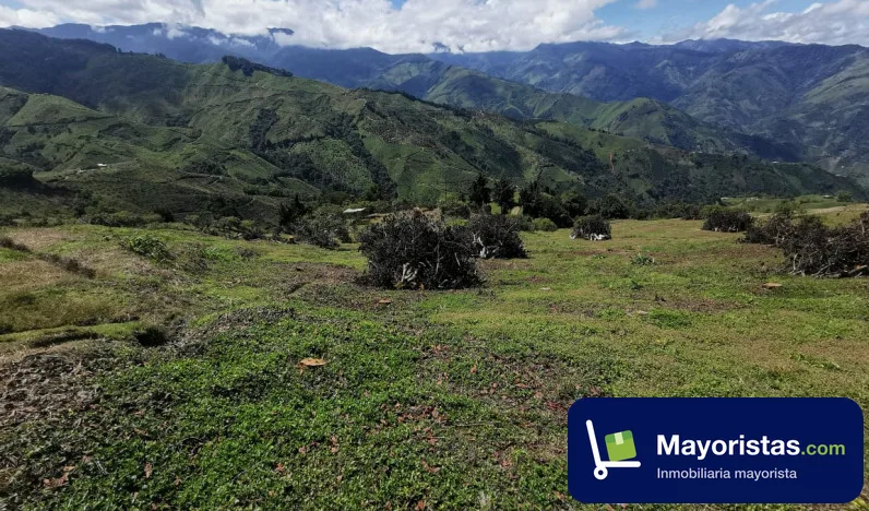 Finca ganadera de 41 ha en Pácora, Caldas — foto 10 de 10