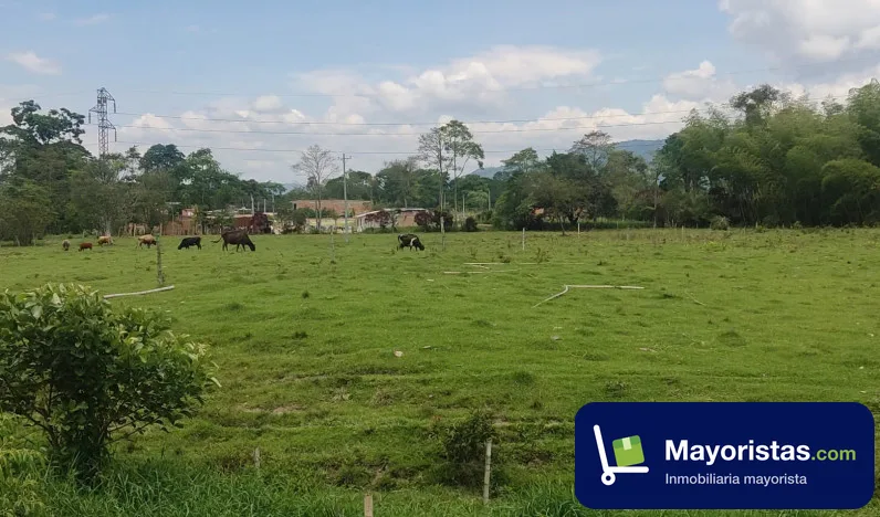 Finca ganadera de 5 ha en Pitalito, Huila