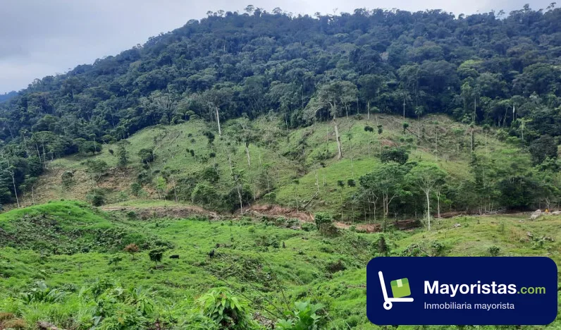 Finca ganadera de 120 ha en Piamonte, Cauca