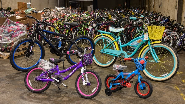Tráileres de bicicletas